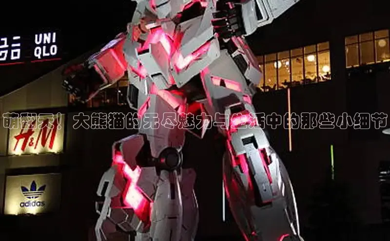 樱花动漫官网正版入口